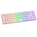 TECLADO GAMER MEMBRANA FAY PRETO E BRANCO LED RAINBOW 60% COM FIO - EVOLUT GAMER